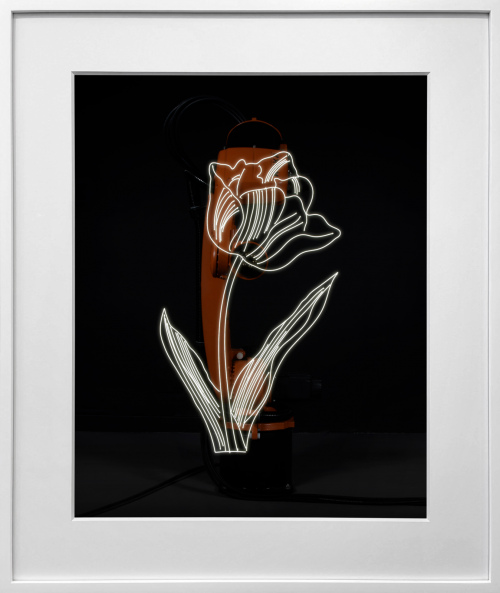 Rob and Nick Carter - RN1478, Robot Light Drawing, Tulip, after Andy Warhol (c.1955), 2022 · © Copyright 2023