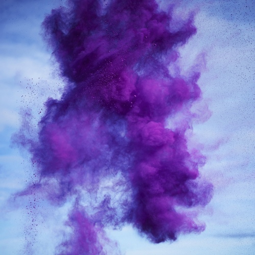 Rob and Nick Carter - RN879, Paint Pigment Photograph, Dioxazine Violet, 2012 · © Copyright 2022