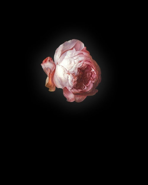 Rob and Nick Carter - RN940, Rose I after Rachel Ruysch, 2013 · © Copyright 2022